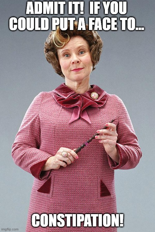 The Face Of... | ADMIT IT!  IF YOU COULD PUT A FACE TO... CONSTIPATION! | image tagged in dolores umbridge,memes,constipation,pooping,funny memes,dark humor | made w/ Imgflip meme maker
