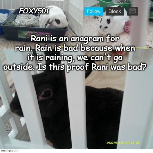 Foxy501 announcement template | Rani is an anagram for rain. Rain is bad because when it is raining, we can't go outside. Is this proof Rani was bad? | image tagged in foxy501 announcement template,the lion guard,rain,anagram | made w/ Imgflip meme maker
