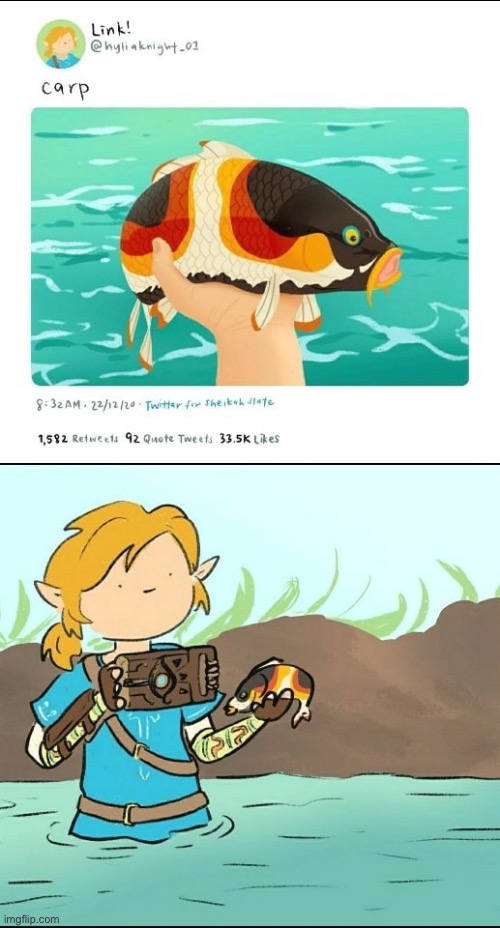 C a r p | image tagged in the legend of zelda breath of the wild | made w/ Imgflip meme maker