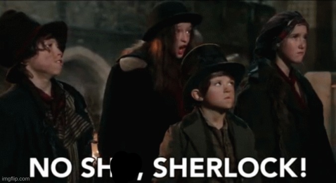No shit sherlock | image tagged in no shit sherlock | made w/ Imgflip meme maker
