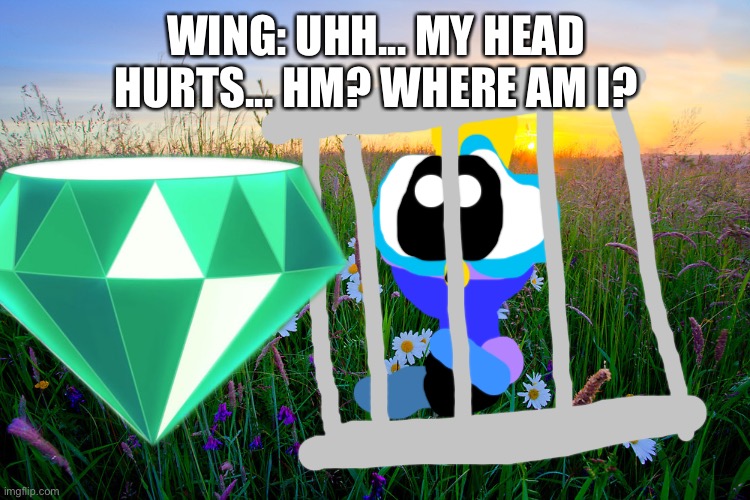 Wing locked in a cage (I put the master emerald here too) | WING: UHH... MY HEAD HURTS... HM? WHERE AM I? | image tagged in cage | made w/ Imgflip meme maker