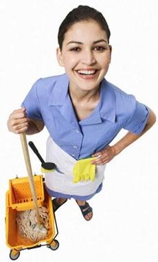 High Quality Scumbag Cleaning Lady Blank Meme Template