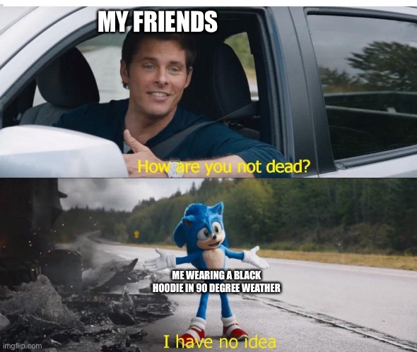 sonic how are you not dead | MY FRIENDS; ME WEARING A BLACK HOODIE IN 90 DEGREE WEATHER | image tagged in sonic how are you not dead | made w/ Imgflip meme maker