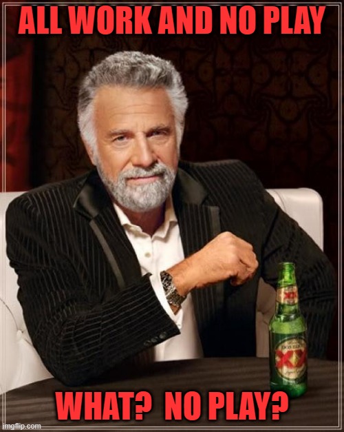 all work and no play | ALL WORK AND NO PLAY; WHAT?  NO PLAY? | image tagged in memes,the most interesting man in the world | made w/ Imgflip meme maker