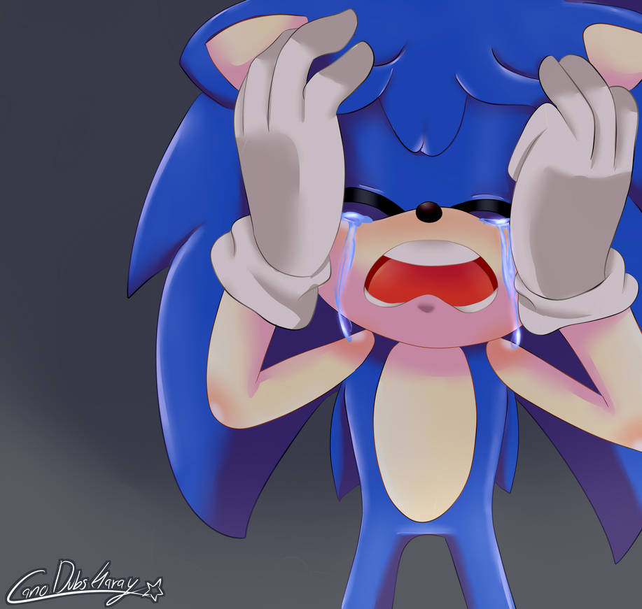 Sonic crying Blank Meme Template