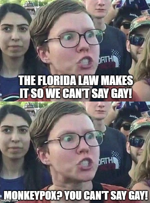THE FLORIDA LAW MAKES IT SO WE CAN'T SAY GAY! MONKEYPOX? YOU CAN'T SAY GAY! | image tagged in triggered liberal | made w/ Imgflip meme maker