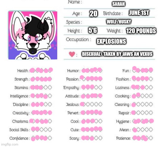 Why not? | SARAH; JUNE 1ST; 20; WOLF/HUSKY; 120 POUNDS; EXPLOSIONS; 5'6; BISEXUAL\ TAKEN BY JAWS AN VEXUS | image tagged in oc info chart | made w/ Imgflip meme maker