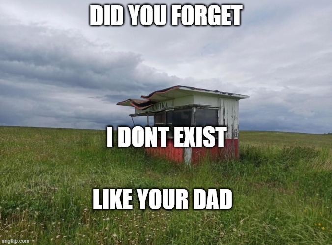 Fatherless and alone bozo | DID YOU FORGET; I DONT EXIST; LIKE YOUR DAD | image tagged in liminal space | made w/ Imgflip meme maker
