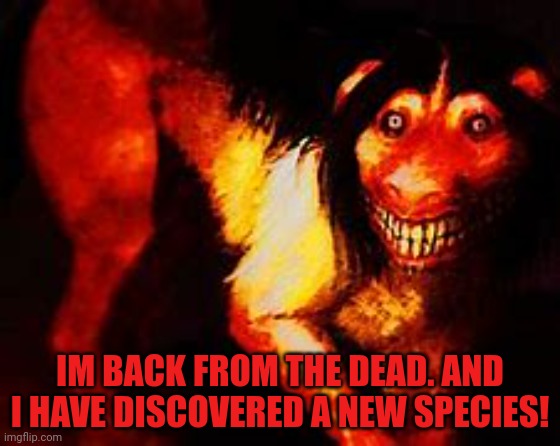 Smile dog | IM BACK FROM THE DEAD. AND I HAVE DISCOVERED A NEW SPECIES! | image tagged in smile dog | made w/ Imgflip meme maker