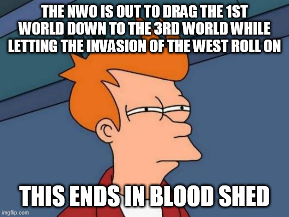 Futurama Fry | THE NWO IS OUT TO DRAG THE 1ST WORLD DOWN TO THE 3RD WORLD WHILE LETTING THE INVASION OF THE WEST ROLL ON; THIS ENDS IN BLOOD SHED | image tagged in memes,futurama fry | made w/ Imgflip meme maker