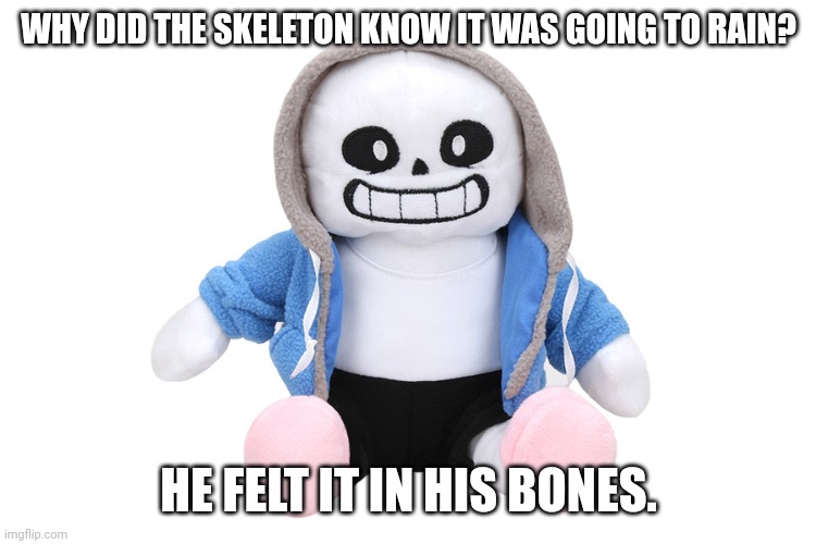 Sans Undertale | WHY DID THE SKELETON KNOW IT WAS GOING TO RAIN? HE FELT IT IN HIS BONES. | image tagged in sans undertale | made w/ Imgflip meme maker