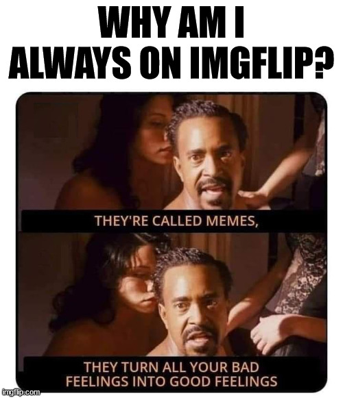 WHY AM I ALWAYS ON IMGFLIP? | image tagged in who_am_i | made w/ Imgflip meme maker