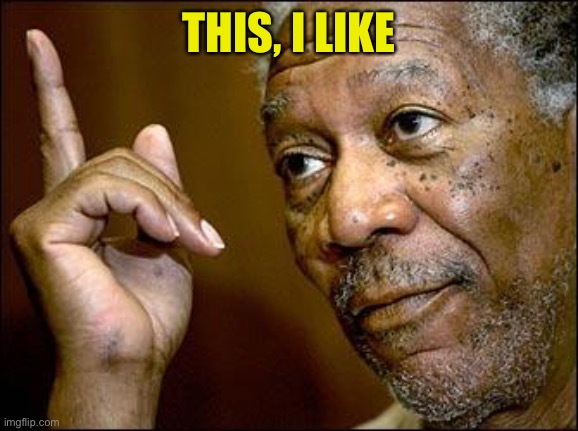 This Morgan Freeman | THIS, I LIKE | image tagged in this morgan freeman | made w/ Imgflip meme maker