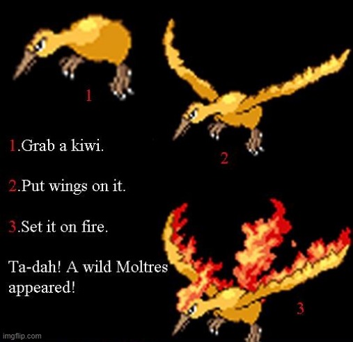 how to get (aka make) moltres | image tagged in pokemon,funny | made w/ Imgflip meme maker