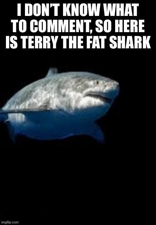 Terry the fat shark template | I DON’T KNOW WHAT TO COMMENT, SO HERE IS TERRY THE FAT SHARK | image tagged in terry the fat shark template | made w/ Imgflip meme maker