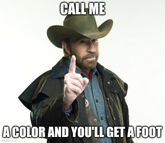 Chuck Norris Finger Meme | CALL ME A COLOR AND YOU'LL GET A FOOT | image tagged in memes,chuck norris finger,chuck norris | made w/ Imgflip meme maker