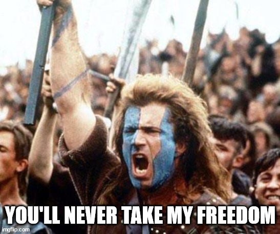 braveheart freedom | YOU'LL NEVER TAKE MY FREEDOM | image tagged in braveheart freedom | made w/ Imgflip meme maker