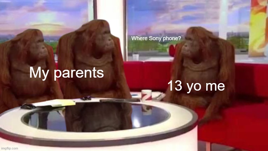 These are a Sony phone so they can look its new phone | Where Sony phone? My parents; 13 yo me | image tagged in where monkey,memes | made w/ Imgflip meme maker