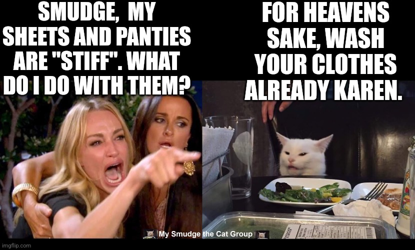 SMUDGE,  MY SHEETS AND PANTIES ARE "STIFF". WHAT DO I DO WITH THEM? FOR HEAVENS SAKE, WASH YOUR CLOTHES ALREADY KAREN. | image tagged in smudge the cat | made w/ Imgflip meme maker