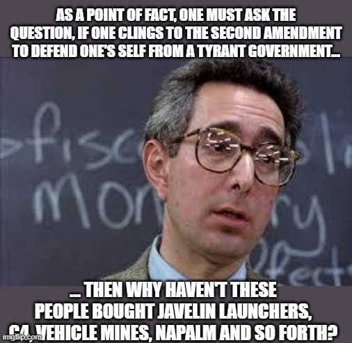 Ferris Bueller Ben Stein | AS A POINT OF FACT, ONE MUST ASK THE QUESTION, IF ONE CLINGS TO THE SECOND AMENDMENT TO DEFEND ONE'S SELF FROM A TYRANT GOVERNMENT... ... TH | image tagged in ferris bueller ben stein | made w/ Imgflip meme maker