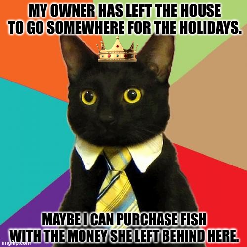 Business Cat Meme | MY OWNER HAS LEFT THE HOUSE TO GO SOMEWHERE FOR THE HOLIDAYS. MAYBE I CAN PURCHASE FISH WITH THE MONEY SHE LEFT BEHIND HERE. | image tagged in memes,smart,kitten | made w/ Imgflip meme maker