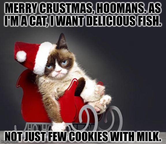 Grumpy Cat Christmas HD | MERRY CRUSTMAS, HOOMANS. AS I'M A CAT, I WANT DELICIOUS FISH. NOT JUST FEW COOKIES WITH MILK. | image tagged in memes,santa,kitten | made w/ Imgflip meme maker
