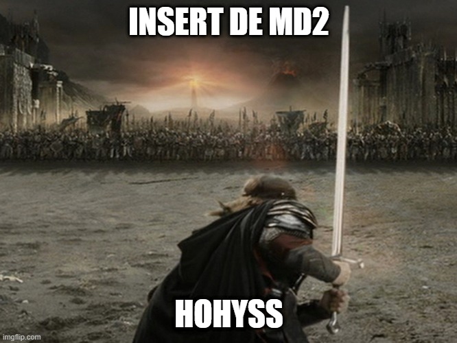 Aragorn Charge | INSERT DE MD2; HOHYSS | image tagged in aragorn charge | made w/ Imgflip meme maker