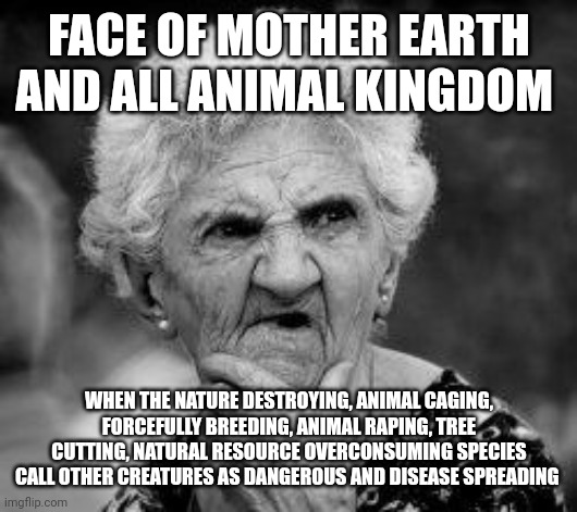 confused old lady | FACE OF MOTHER EARTH AND ALL ANIMAL KINGDOM; WHEN THE NATURE DESTROYING, ANIMAL CAGING, FORCEFULLY BREEDING, ANIMAL RAPING, TREE CUTTING, NATURAL RESOURCE OVERCONSUMING SPECIES CALL OTHER CREATURES AS DANGEROUS AND DISEASE SPREADING | image tagged in confused old lady | made w/ Imgflip meme maker