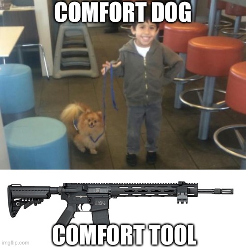 So to be clear. The economy is not in a recession. This is not an assault rifle. Two can play this game. | COMFORT DOG; COMFORT TOOL | image tagged in autism service dog,s w assault rifle,new definitions | made w/ Imgflip meme maker