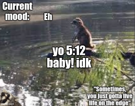 I shall rule the early mornings | Eh; yo 5:12 baby! idk | image tagged in jade's raccoon temp,ruler | made w/ Imgflip meme maker
