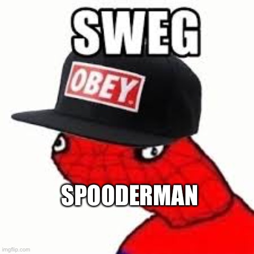 Spooderman | SPOODERMAN | image tagged in spooderman | made w/ Imgflip meme maker
