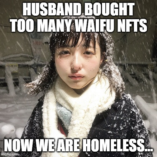 Husband bought too many waifu nfts... | HUSBAND BOUGHT TOO MANY WAIFU NFTS; NOW WE ARE HOMELESS... | image tagged in we are homeress,nextgenwaifus,nextgenweebs | made w/ Imgflip meme maker