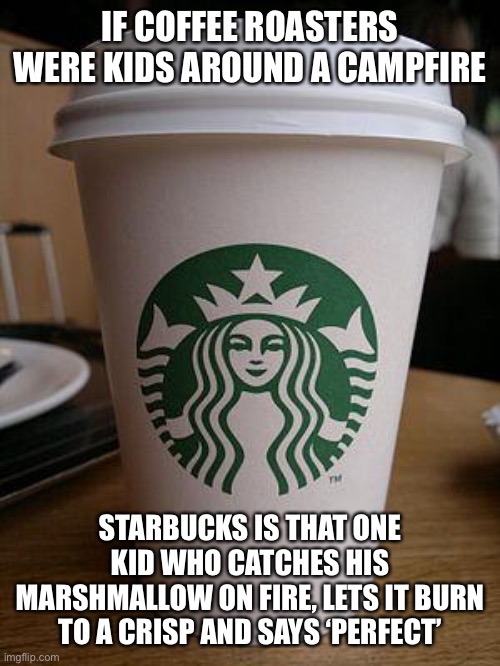 Why is this medium roast darker than the darkest roast of anyone else? |  IF COFFEE ROASTERS WERE KIDS AROUND A CAMPFIRE; STARBUCKS IS THAT ONE KID WHO CATCHES HIS MARSHMALLOW ON FIRE, LETS IT BURN TO A CRISP AND SAYS ‘PERFECT’ | image tagged in starbucks,burn,burnt toast,coffee | made w/ Imgflip meme maker