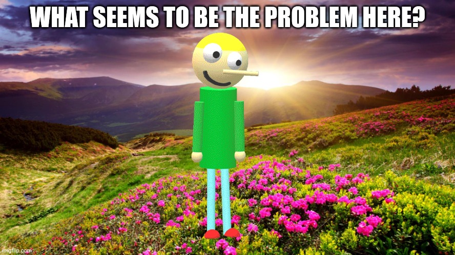 Field of Flowers | WHAT SEEMS TO BE THE PROBLEM HERE? | image tagged in field of flowers | made w/ Imgflip meme maker