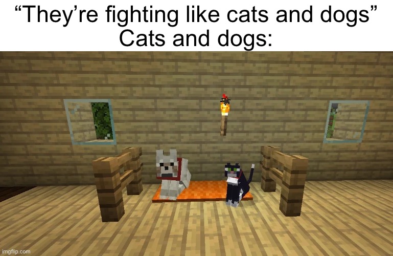 Cats and dogs | “They’re fighting like cats and dogs”
Cats and dogs: | image tagged in cats,dogs,cats and dogs,minecraft,pets,dogs an cats | made w/ Imgflip meme maker