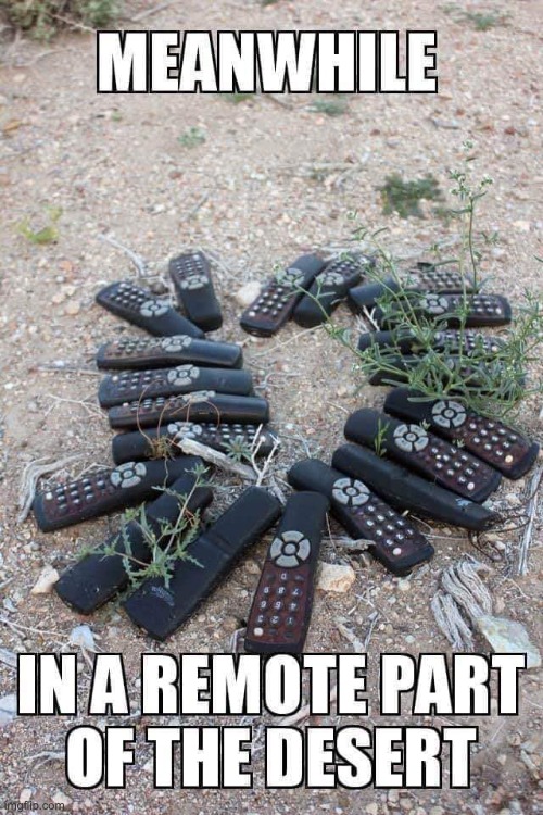 Remote | image tagged in bad pun | made w/ Imgflip meme maker