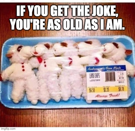 Lamb Chops | IF YOU GET THE JOKE, YOU'RE AS OLD AS I AM. | image tagged in bad pun | made w/ Imgflip meme maker