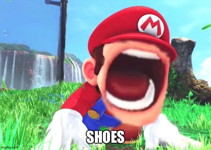 Mario screaming | SHOES | image tagged in mario screaming | made w/ Imgflip meme maker