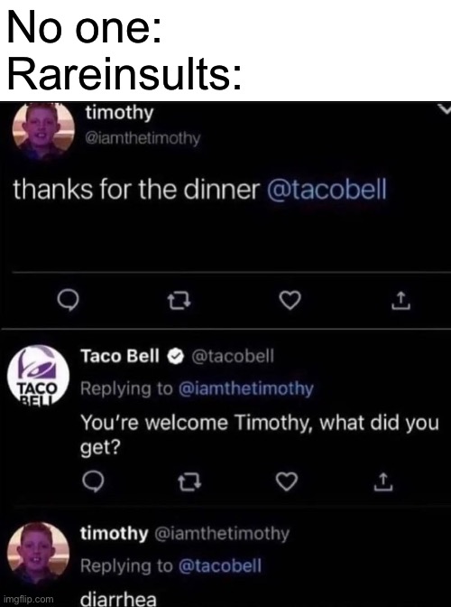 OMG THAT WAS SO FUNNY THAT GUY IS SO BURNNNNNED!!!!!!!! | No one:
Rareinsults: | made w/ Imgflip meme maker