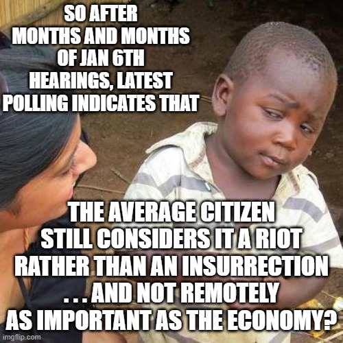 Yep . . . this is exactly what the latest polling indicates.  Now what Dems? | SO AFTER MONTHS AND MONTHS OF JAN 6TH HEARINGS, LATEST POLLING INDICATES THAT; THE AVERAGE CITIZEN STILL CONSIDERS IT A RIOT RATHER THAN AN INSURRECTION . . . AND NOT REMOTELY AS IMPORTANT AS THE ECONOMY? | image tagged in third world skeptical kid | made w/ Imgflip meme maker