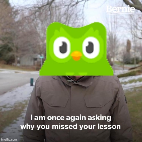 duolingo | why you missed your lesson | image tagged in memes,bernie i am once again asking for your support | made w/ Imgflip meme maker