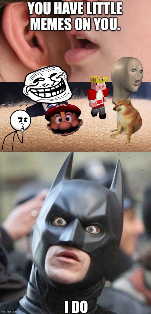 Hehe | YOU HAVE LITTLE MEMES ON YOU. I DO | image tagged in whisper and goosebumps,shocked batman | made w/ Imgflip meme maker