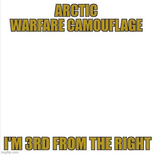 Camouflage | image tagged in arctic | made w/ Imgflip meme maker