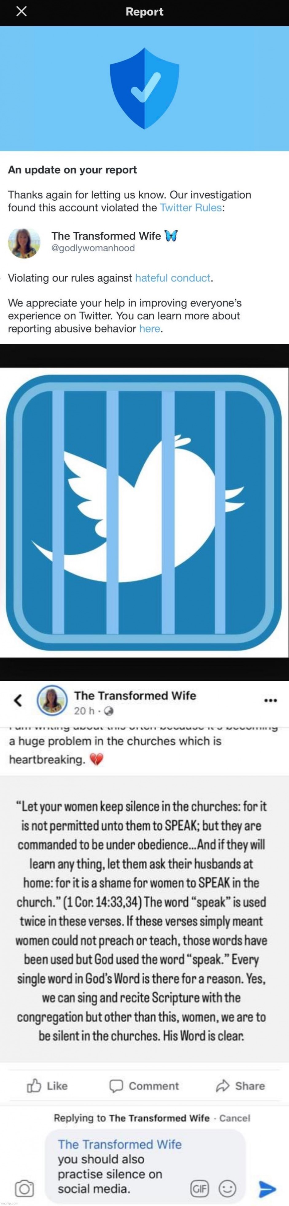 High Quality The transformed wife banned Blank Meme Template
