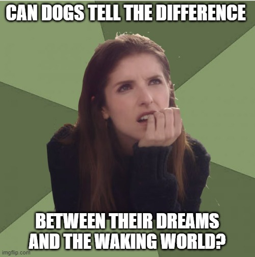Philosophanna | CAN DOGS TELL THE DIFFERENCE; BETWEEN THEIR DREAMS AND THE WAKING WORLD? | image tagged in philosophanna | made w/ Imgflip meme maker