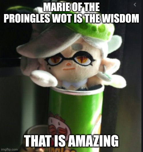 Marie pringles | MARIE OF THE PROINGLES WOT IS THE WISDOM THAT IS AMAZING | image tagged in marie pringles | made w/ Imgflip meme maker