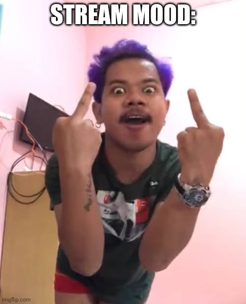 Negro | STREAM MOOD: | image tagged in fucek meme | made w/ Imgflip meme maker