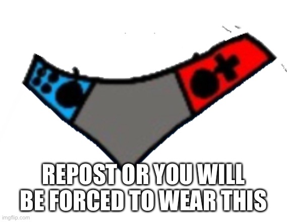 Switch Panties | REPOST OR YOU WILL BE FORCED TO WEAR THIS | image tagged in switch panties | made w/ Imgflip meme maker