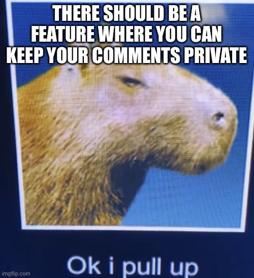 ok i pull up | THERE SHOULD BE A FEATURE WHERE YOU CAN KEEP YOUR COMMENTS PRIVATE | image tagged in ok i pull up | made w/ Imgflip meme maker