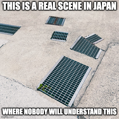 Drains | THIS IS A REAL SCENE IN JAPAN; WHERE NOBODY WILL UNDERSTAND THIS | image tagged in memes,drain | made w/ Imgflip meme maker